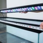 How to Choose Aquaneat Full Spectrum Aquarium Light
