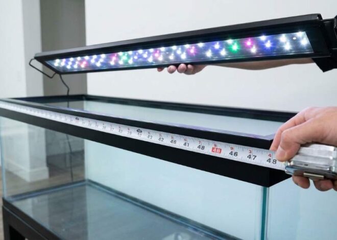 How to Choose Aquaneat Full Spectrum Aquarium Light