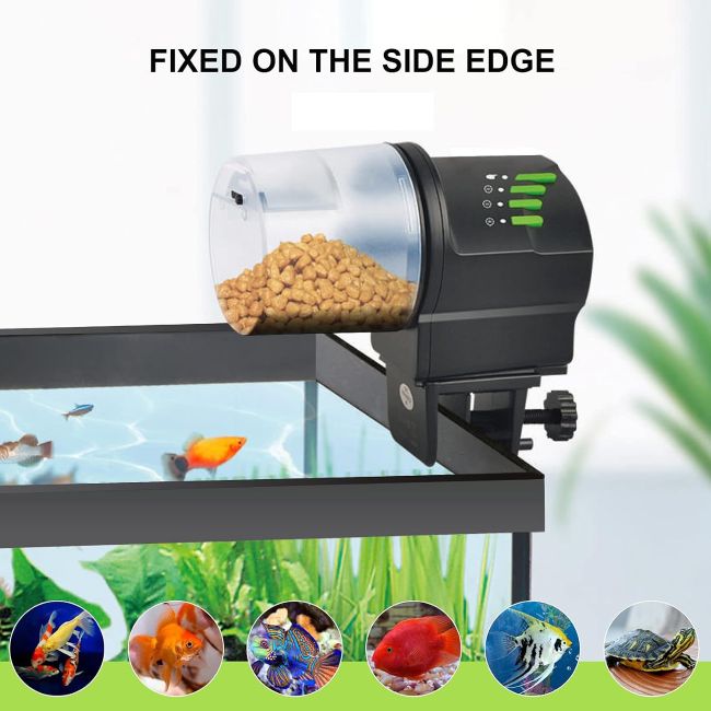 DXOPHIEX aquarium feeder for convenient fish feeding