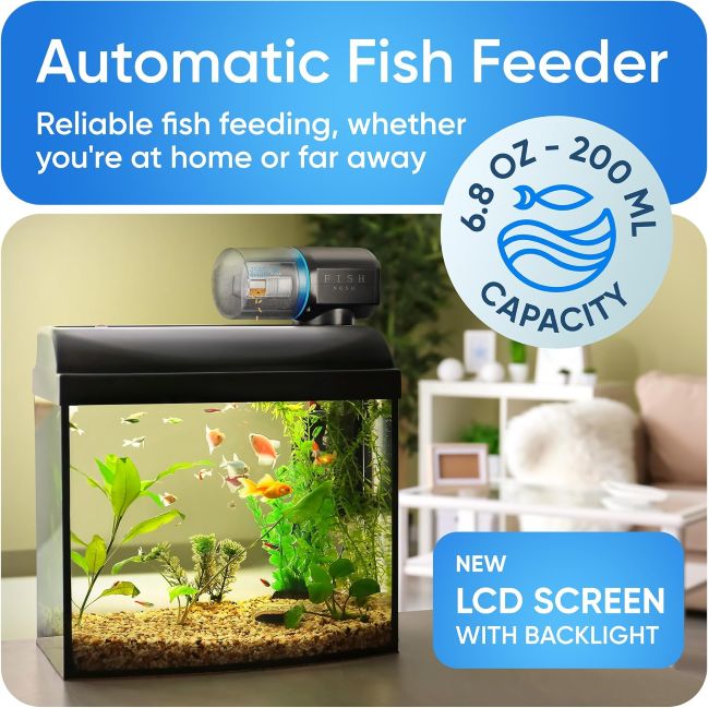 FISHNOSH fish feeder for convenient aquarium feeding
