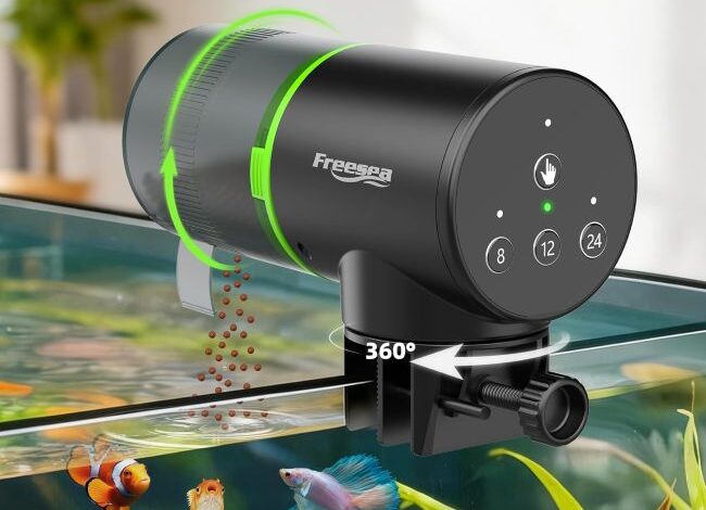 Freesea Automatic Fish Feeder: Could One-Touch Setup Add Value?