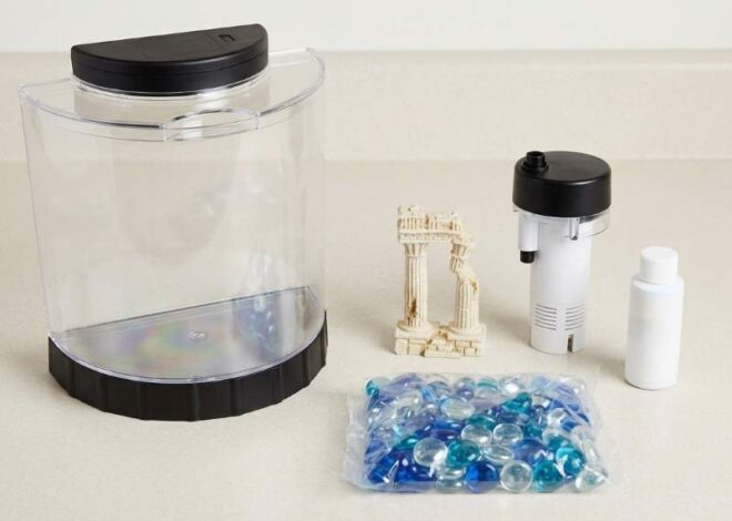 How to Set Up Tetra 1.1 Gallon Betta Aquarium Kit