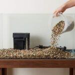 How to Set Up Tetra 20 Gallon Complete Tropical Fish Tank Kit