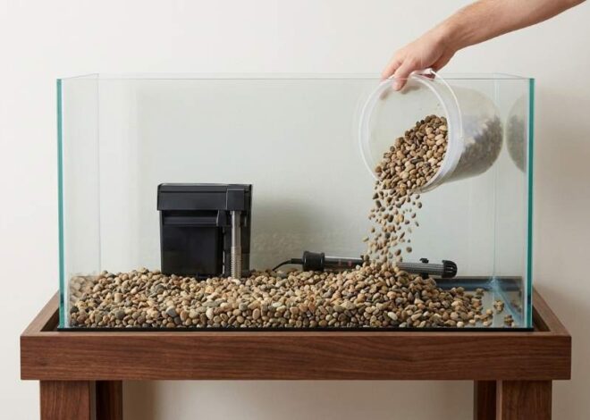 How to Set Up Tetra 20 Gallon Complete Tropical Fish Tank Kit