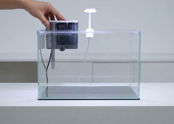 How to Set Up Vimvins Small Fish Tank