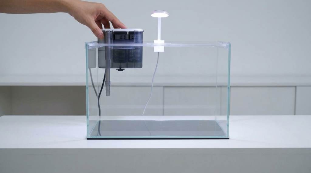 How to Set Up Vimvins Small Fish Tank